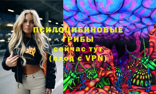 дурь Володарск
