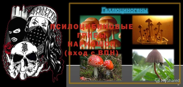 ешки Верея