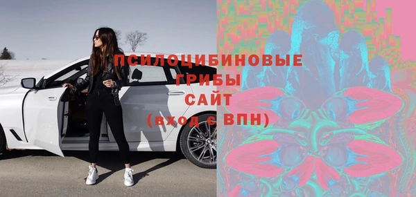 ешки Верея