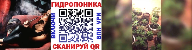 KRAKEN как войти  Карталы  Конопля семена 